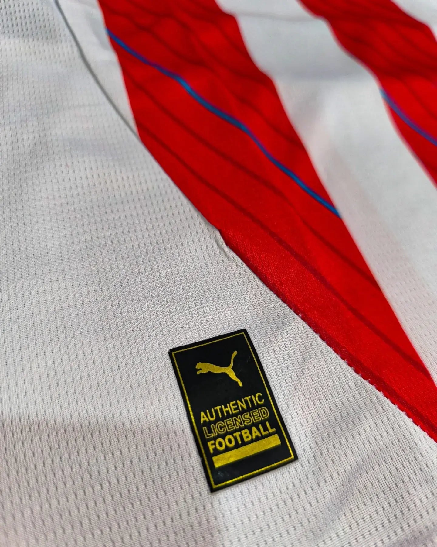 Remera Oficial Paraguay Pasión guaraní que se lleva en el pecho 🎁 HOY 30% DCTO