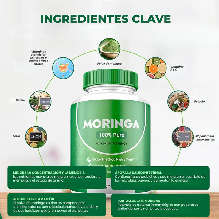 Moringa en cápsulas 100% pura – 60 cápsulas que aportan energía, salud y bienestar integral.
